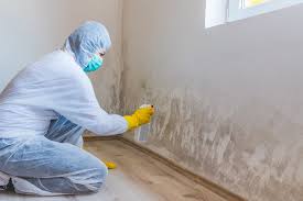 Best Asbestos and Lead Testing During Mold Inspection  in Hightstown, NJ