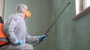 Professional Mold Prevention & Removal  in Hightstown, NJ