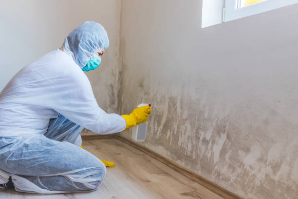 Best Industrial Mold Remediation  in Hightstown, NJ