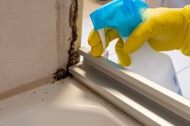 Best Water Damage & Mold Remediation  in Hightstown, NJ